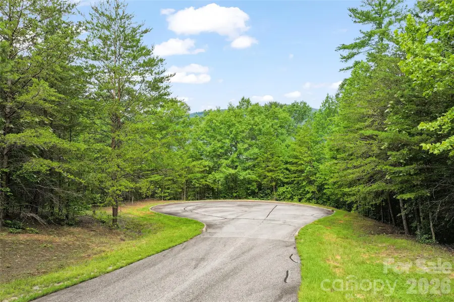 Lot 18 Stratford Place, Mill Spring, NC 28756 - #3