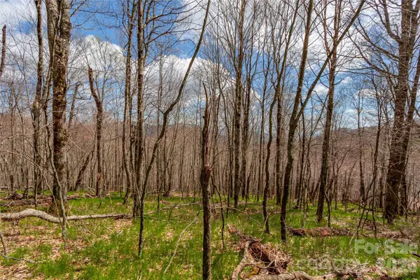 lots 4,5 & 7 Mule Trail Drive, Bakersville, NC 28705