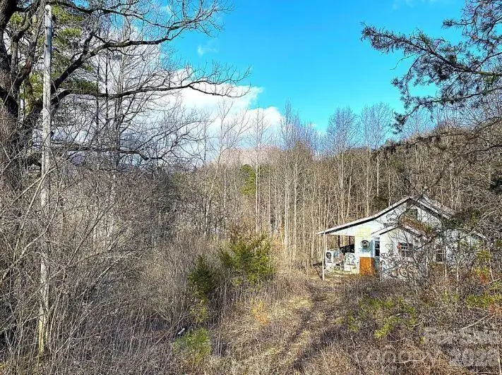 1141 Monteith Gap Road, Cullowhee, NC 28723 - #1