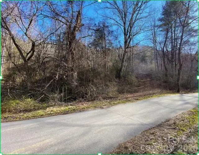 1141 Monteith Gap Road, Cullowhee, NC 28723 - #2