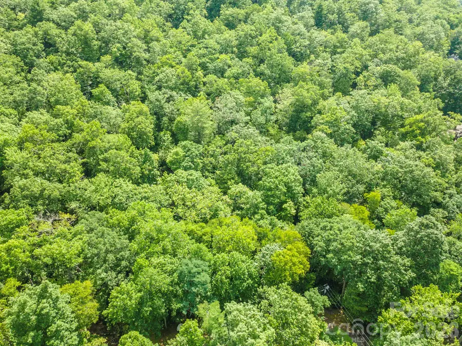 212 Harmony Lane, Montreat, NC 28757 - #2