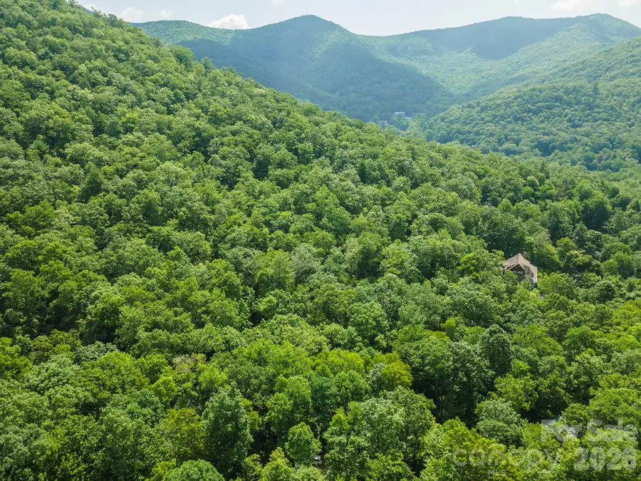 212 Harmony Lane, Montreat, NC 28757 - #3