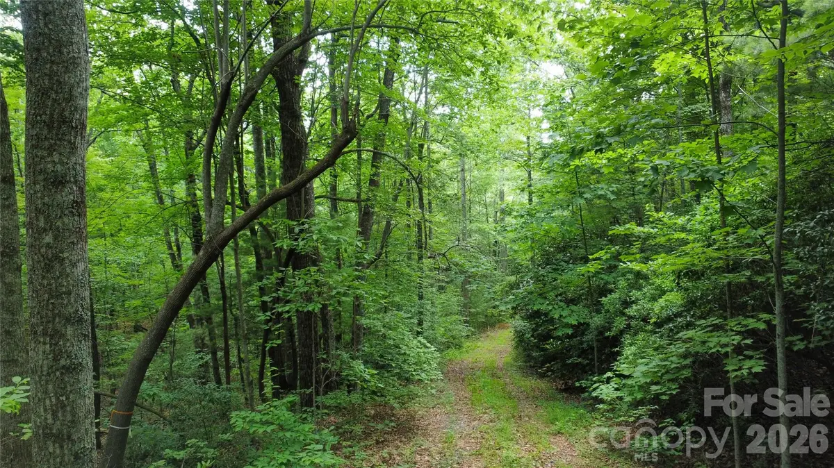 9999 North Pointe Drive #70, Zirconia, NC 28790 - #1