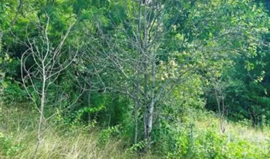 00 Split Pine Cove, Clyde, NC 28721 - #3