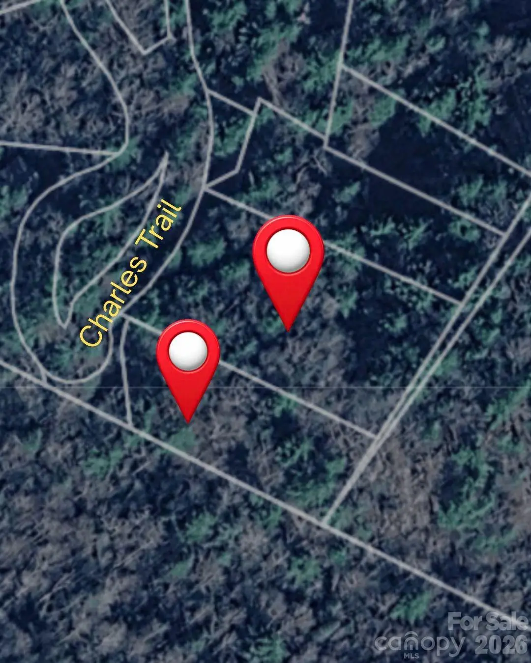 0000 Charles Trail, Hendersonville, NC 28792 - #1