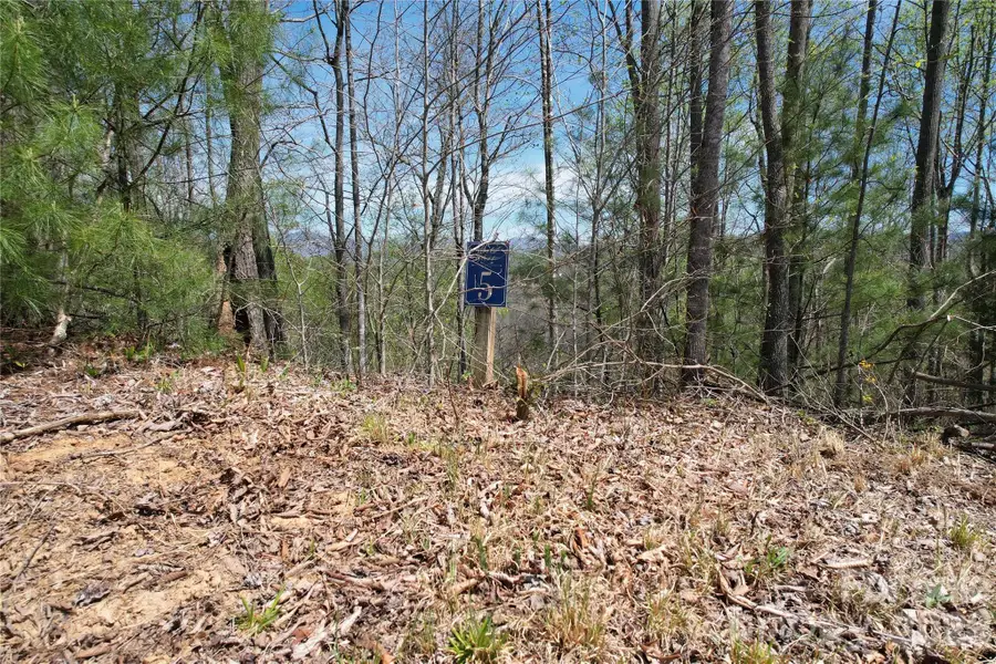 0 High Peak Drive #5, Burnsville, NC 28714 - #3