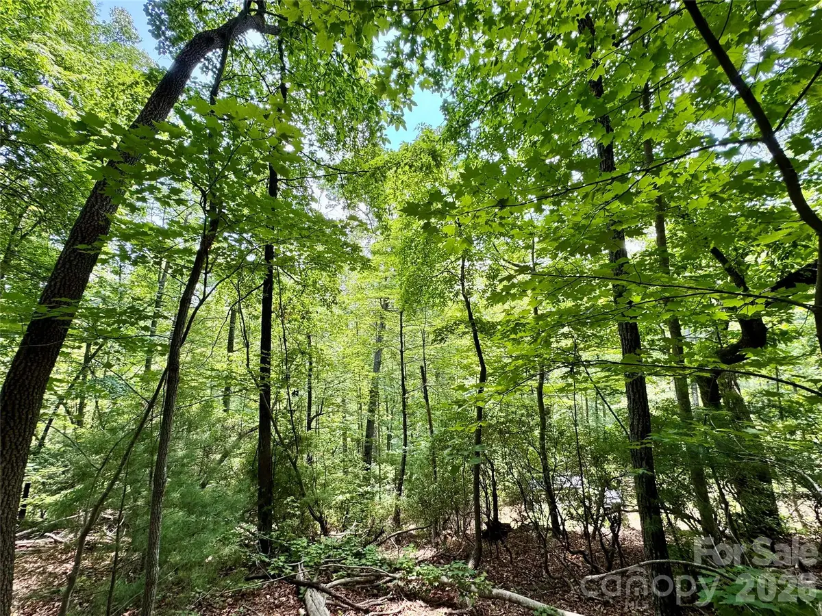 35+ acres - Lot 23 Bear Track Lane #23, Lenoir, NC 28645 - #1