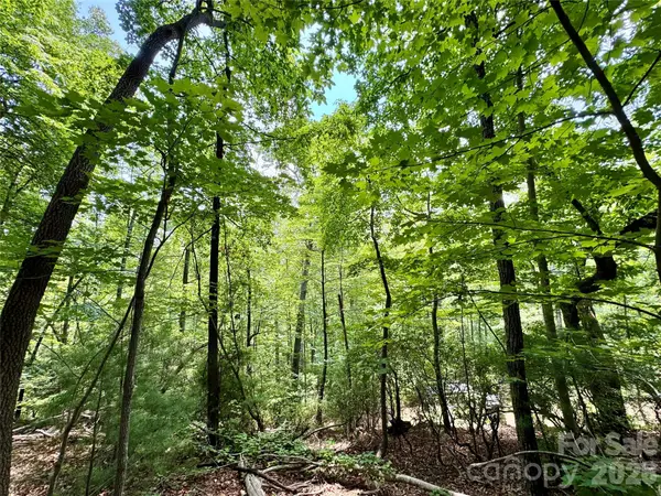 35+ acres - Lot 23 Bear Track Lane #23, Lenoir, NC 28645