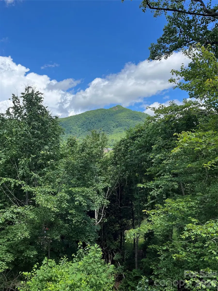 93 Village Pointe Lane, Asheville, NC 28803 - #2