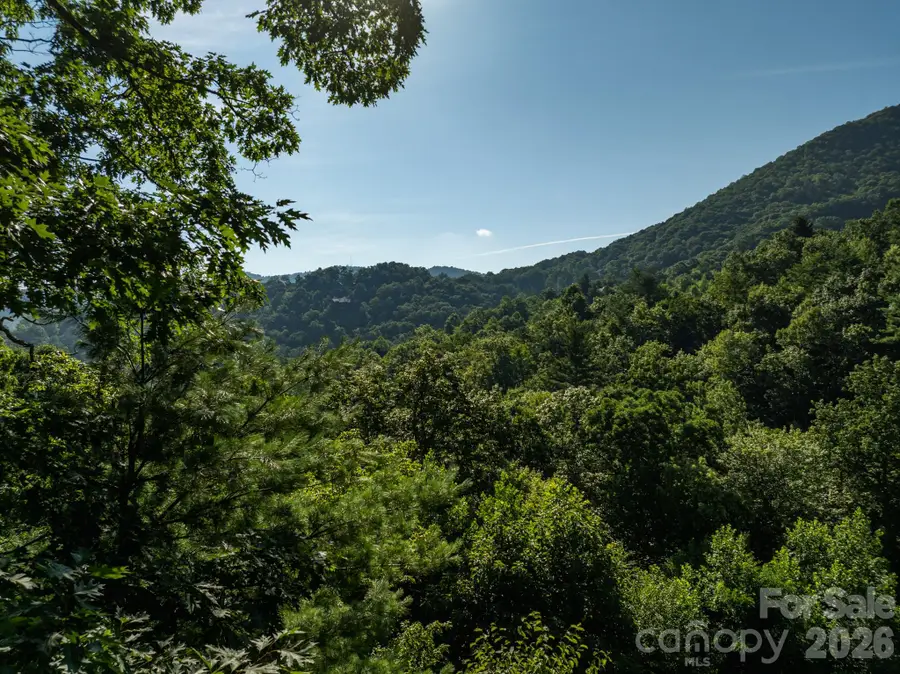 59 Old Greybeard Loop, Black Mountain, NC 28711 - #2