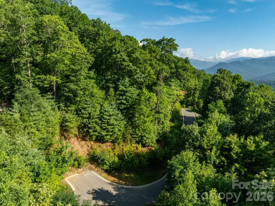 59 Old Greybeard Loop, Black Mountain, NC 28711 - #3
