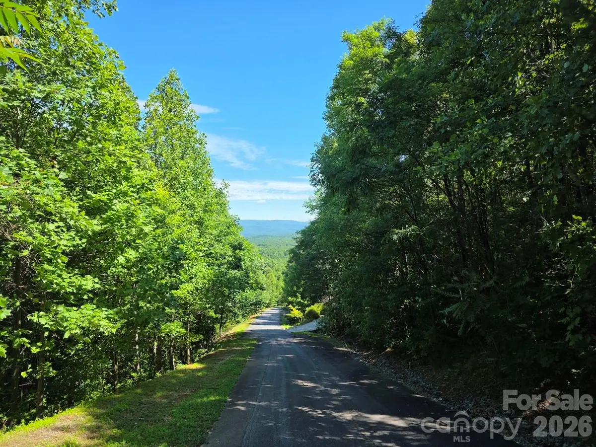 52 Big View Drive, Marion, NC 28752 - #1