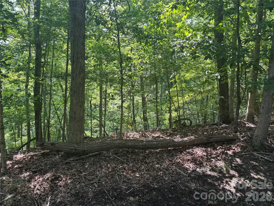 Lot 13 Crab Apple Court, Lake Lure, NC 28746 - #2