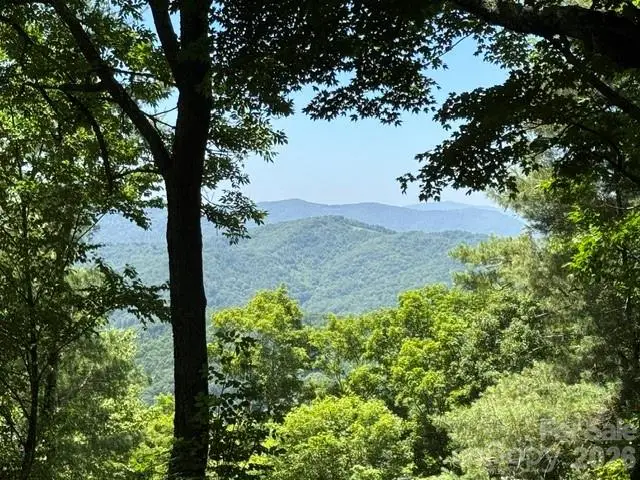 1209 Mckinney Gap Drive, Mars Hill, NC 28754 - #2