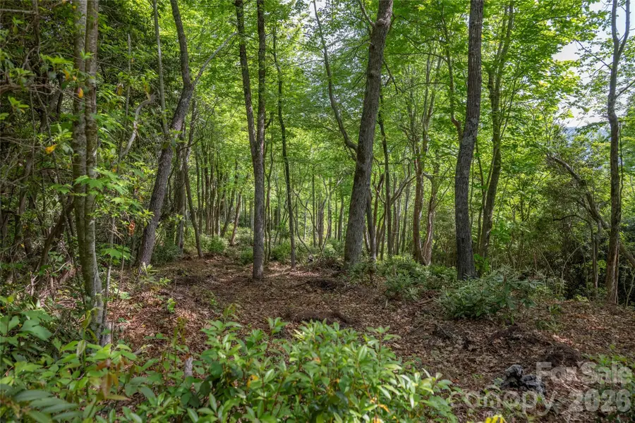 Lot 114R Toxaway Drive, Lake Toxaway, NC 28747 - #3