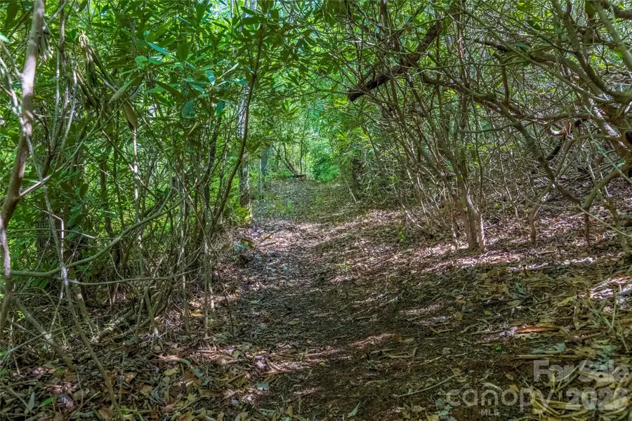 River Camp Long Ridge Road, Lake Toxaway, NC 28747 - #3