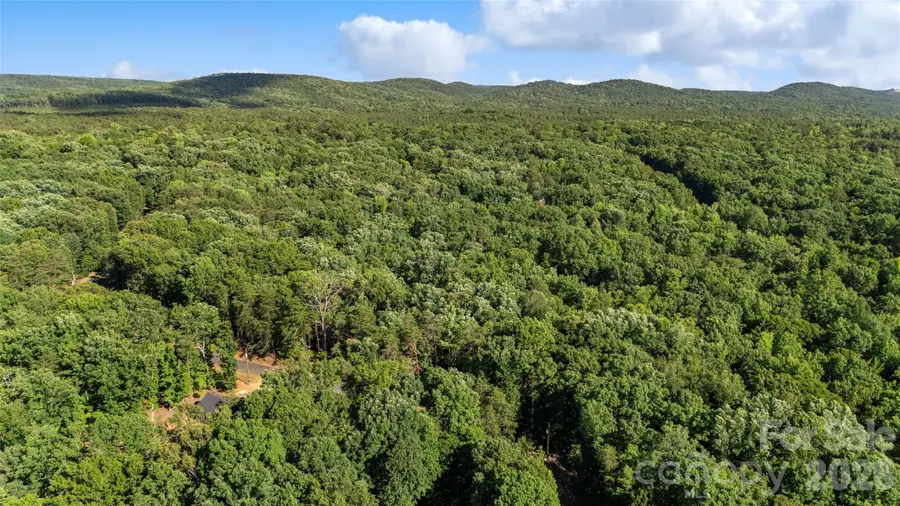 138 Woodline Drive, Troy, NC 27371 - #2