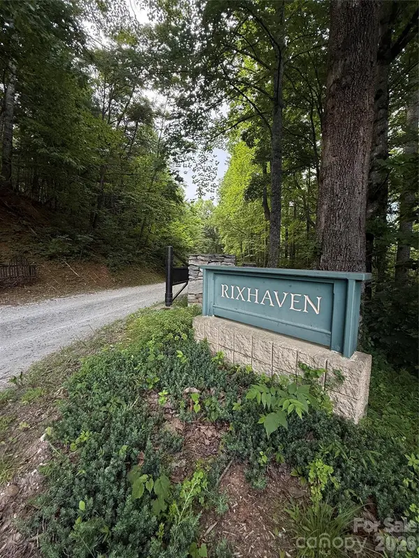 1142 Rixhaven Drive, Saluda, NC 28773
