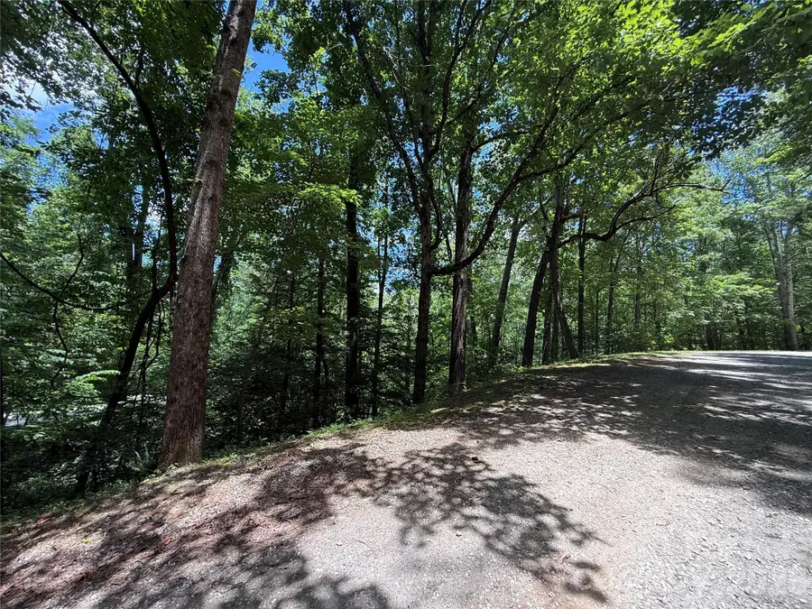 1142 Rixhaven Drive, Saluda, NC 28773 - #2