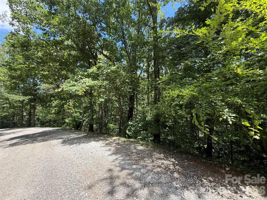 1142 Rixhaven Drive, Saluda, NC 28773 - #3
