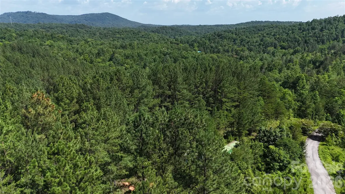 590 Gold Creek Point, Union Mills, NC 28167 - #1