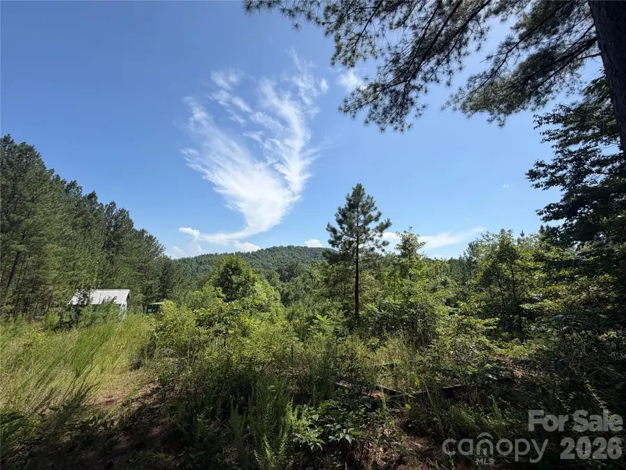 590 Gold Creek Point, Union Mills, NC 28167 - #3