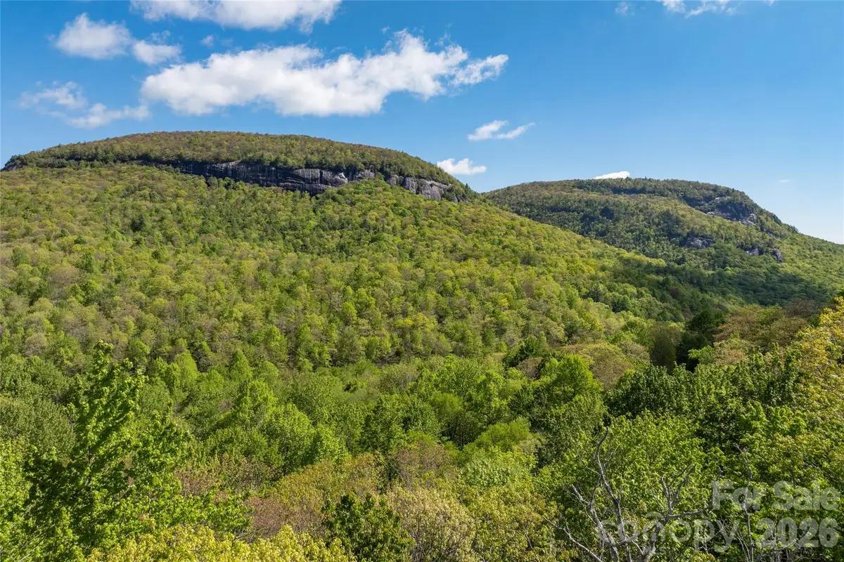TBD Long Ridge Road, Lake Toxaway, NC 28747 - #1
