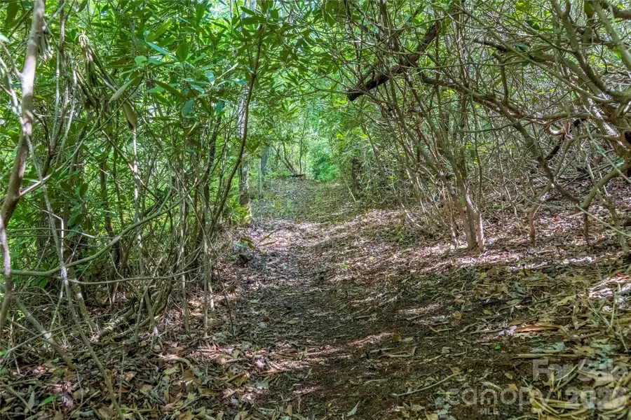 TBD Long Ridge Road, Lake Toxaway, NC 28747 - #2
