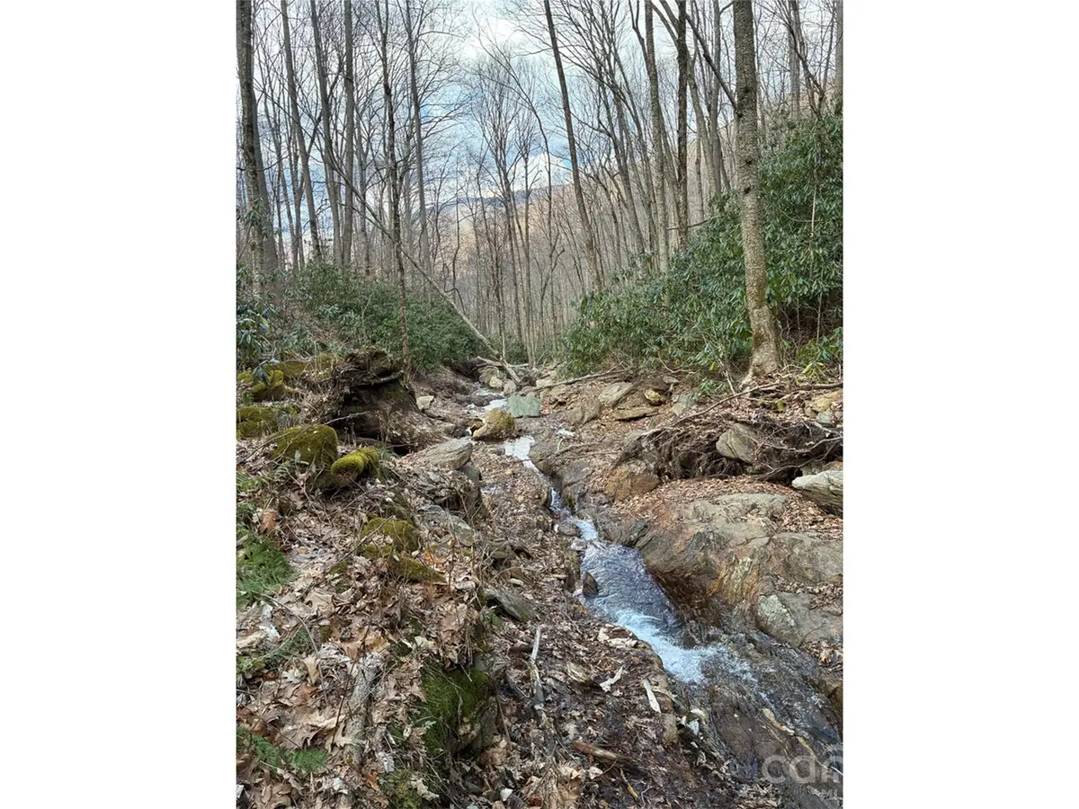 000 Ogles Gap Road, Burnsville, NC 28714 - #1