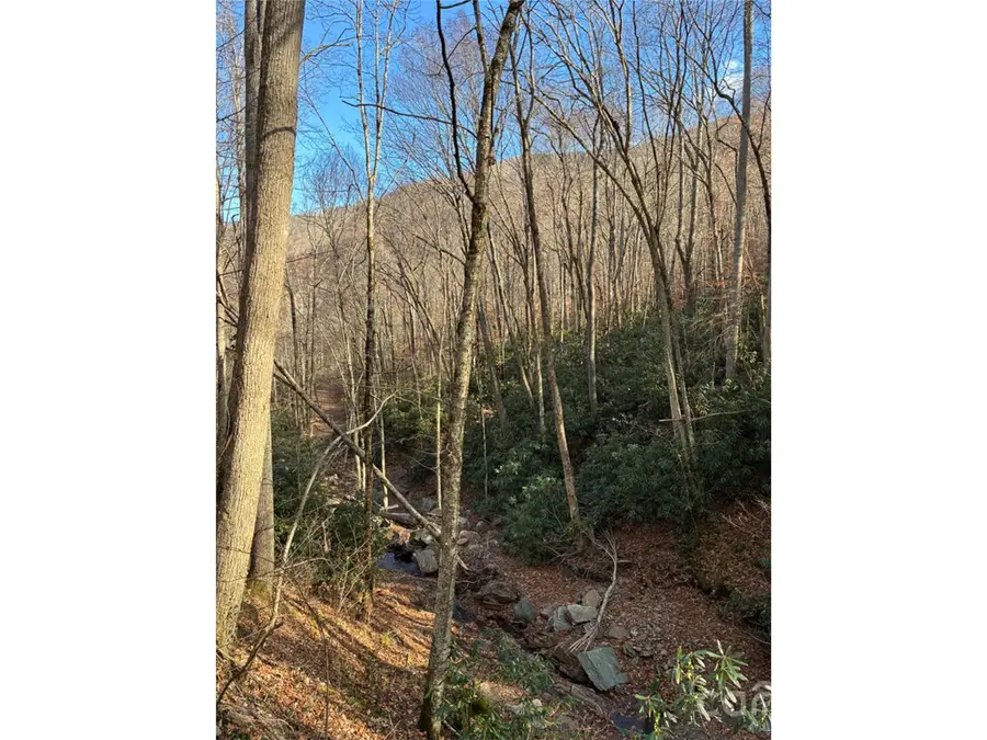 000 Ogles Gap Road, Burnsville, NC 28714 - #3