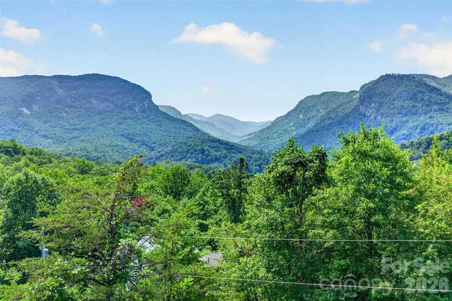 227 Sidney Lanier Drive, Lake Lure, NC 28746 - #2