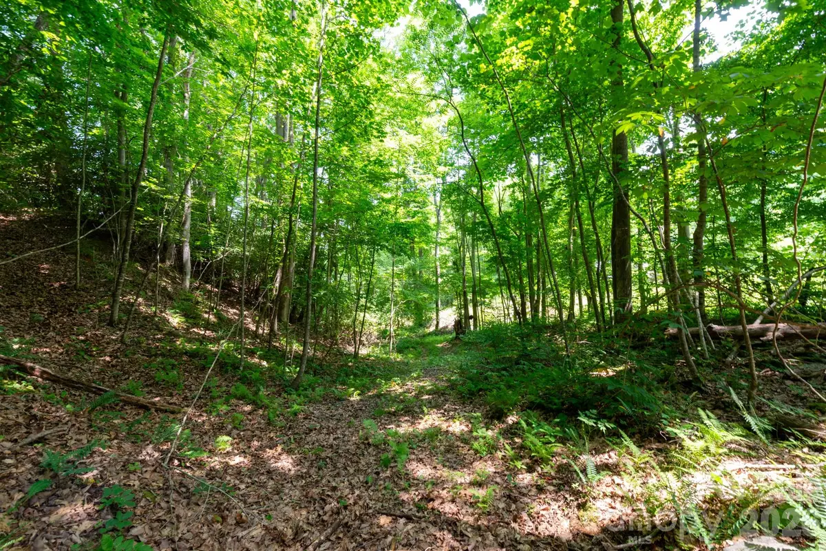 ### Board Tree Road #4, Marshall, NC 28753 - #1
