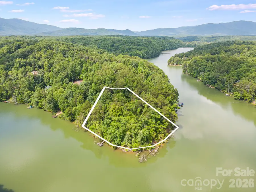 00 Canoe Drive #40, Mill Spring, NC 28756 - #3