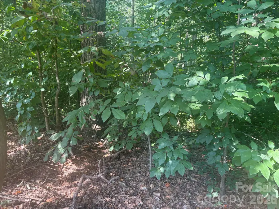 427 Deauville Road, Statesville, NC 28625 - #2