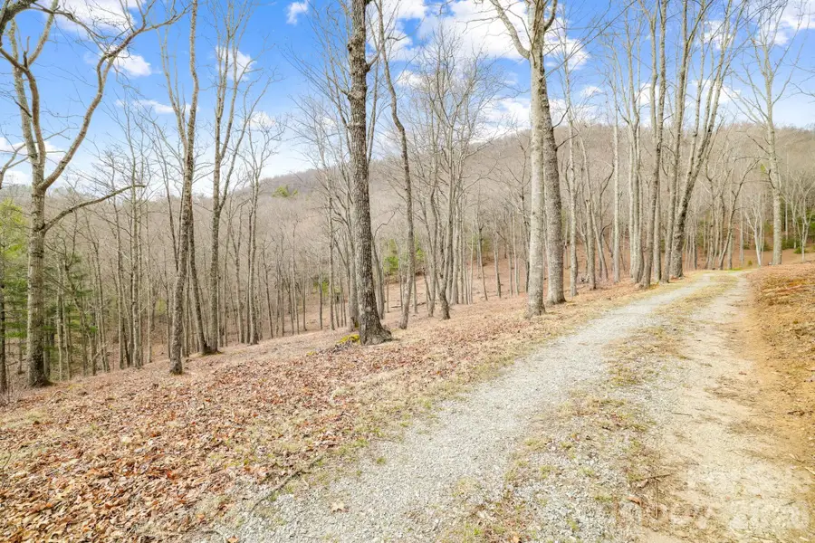 527 North Robinson Creek Road, Glenville, NC 28736 - #3