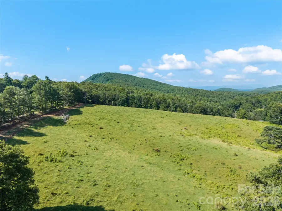 0 Summer Road #4, Hendersonville, NC 28792 - #3