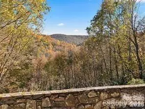 967 Spruce Flats Road, Maggie Valley, NC 28751 - #3
