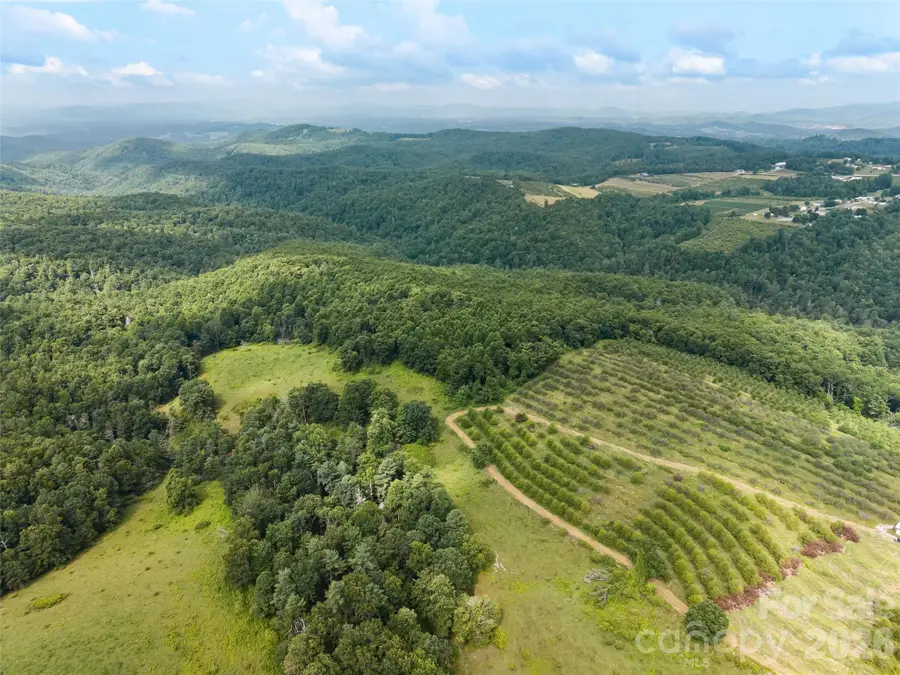 0 Summer Road #5, Hendersonville, NC 28792 - #2