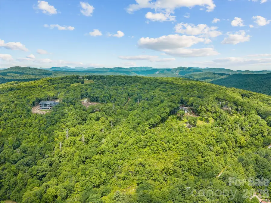 Lot 42 Spencer Lane #MR42, Lake Toxaway, NC 28747 - #3