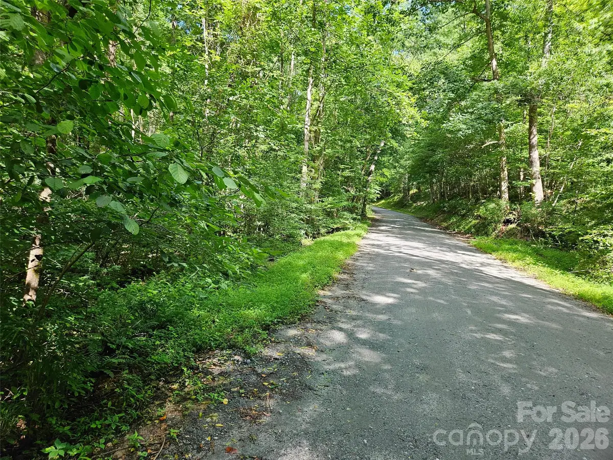 0 Sandpiper Avenue #163, Lake Lure, NC 28746 - #1