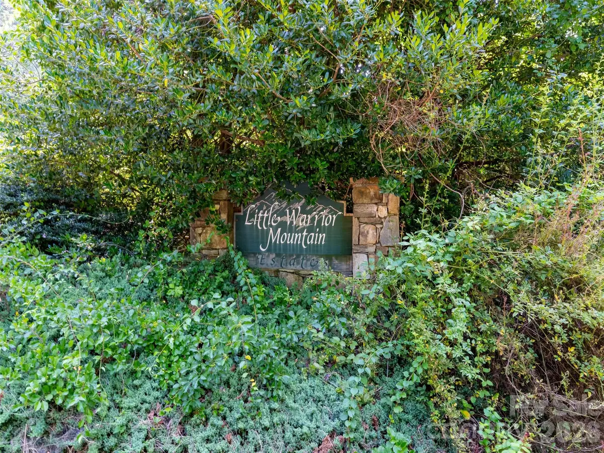00 Rhododendron Drive #15 & 16, Saluda, NC 28773 - #1