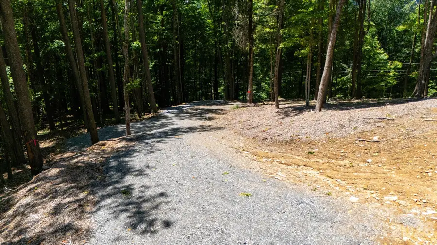 000 Hamlin Lane, Mars Hill, NC 28754 - #3