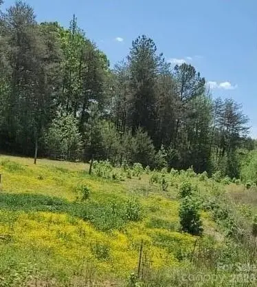 2195 Otis Dellinger Road, Lincolnton, NC 28092 - #2