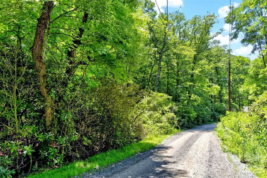 TBD Durham Avenue, Black Mountain, NC 28711 - #3
