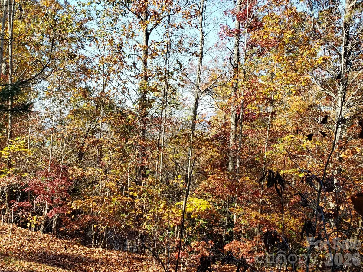 TBD Top Oaks Lane #Lot 58, Pisgah Forest, NC 28768 - #1