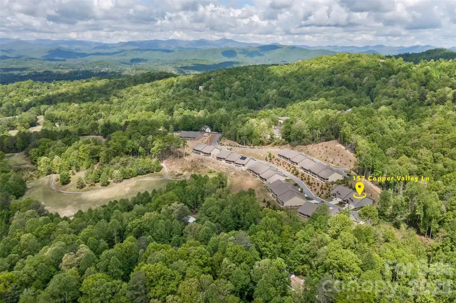 157 Copper Valley Lane, Hendersonville, NC 28739 - #2