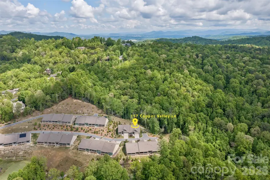 157 Copper Valley Lane, Hendersonville, NC 28739 - #3