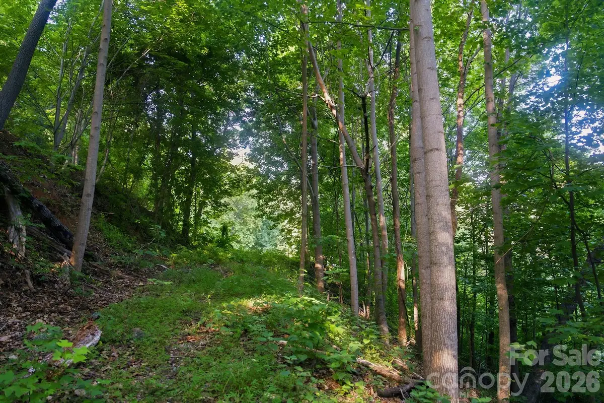 00 Ragans Pointe Pointe #58, Columbus, NC 28722 - #1