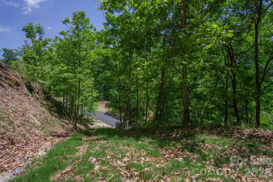 lot 53R Mills River Way #Lot 53R, Horse Shoe, NC 28742 - #2