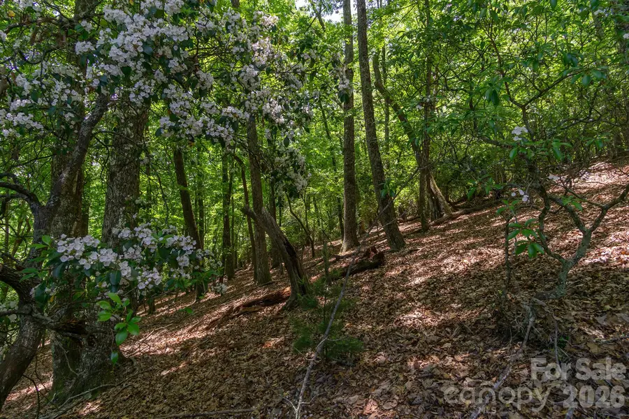 lot 53R Mills River Way #Lot 53R, Horse Shoe, NC 28742 - #3